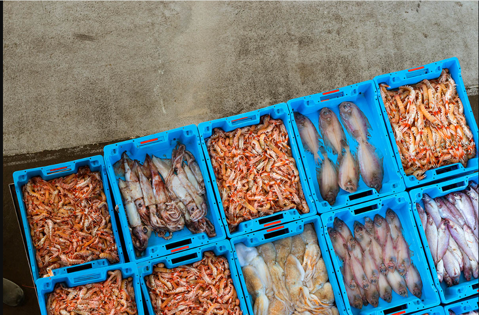 Grossiste de produits surgelés, Grigny