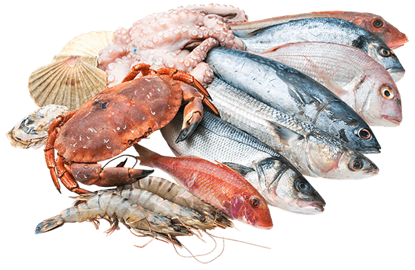 Grossiste de produits surgelés Île-de-France